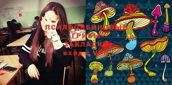 мескалин Арсеньев
