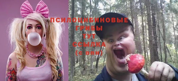 круглые Армянск