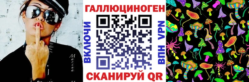 где можно купить   Сорочинск  shop наркотические препараты  Галлюциногенные грибы мухоморы 
